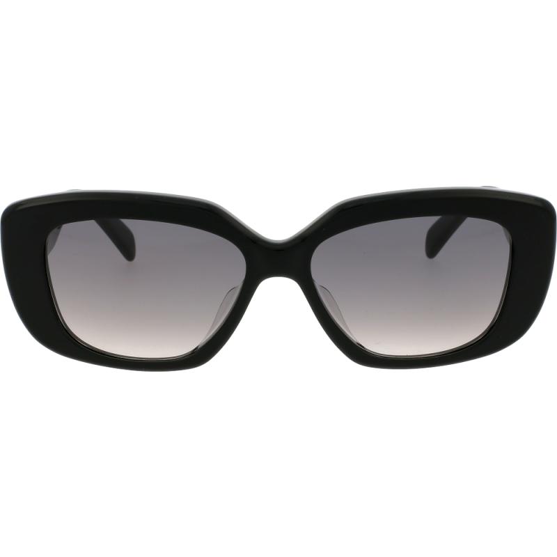 Celine CL40216U 01F 55